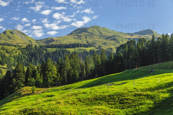 View of the Klingenstock, Fronalpstock chain, Schwyz, Switzerland, Fronalpstock, Lake Lucerne,