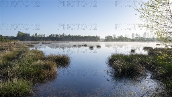Moorland landscape, renaturalised, peat-covered moorland, Grosses Moor nature reserve, Lower