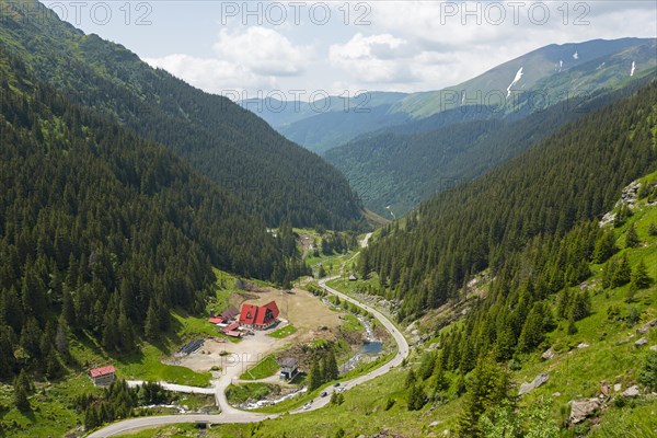 A green mountain valley with a river and a road, surrounded by dense forests, mountain road, Capra
