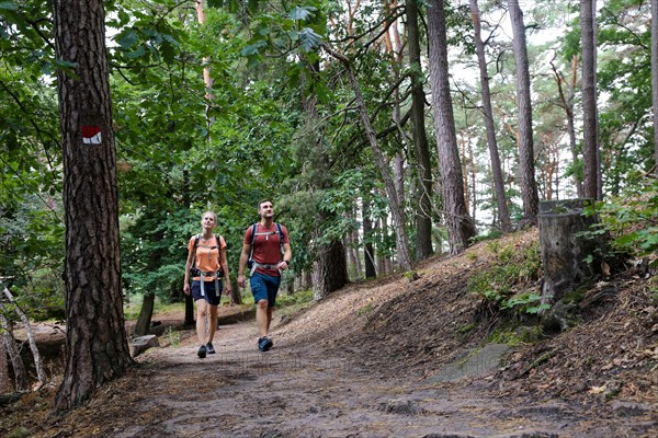 Symbolic image: Young couple hiking in the Palatinate Forest, here on the fifth stage of the
