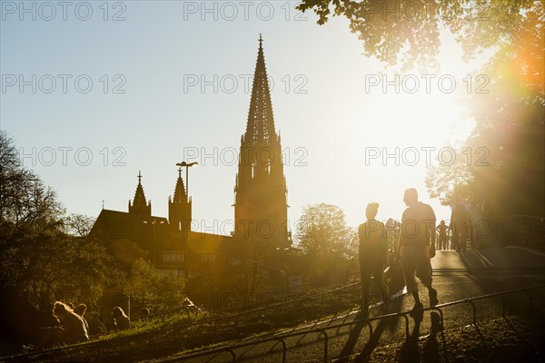 City garden with Karlssteg and Freiburg Minster, sunset, Freiburg im Breisgau, Black Forest,