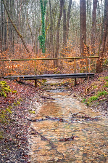 Small old wooden bridge over a stream in the Rautal valley in the forest, Jena, Thuringia, Germany,