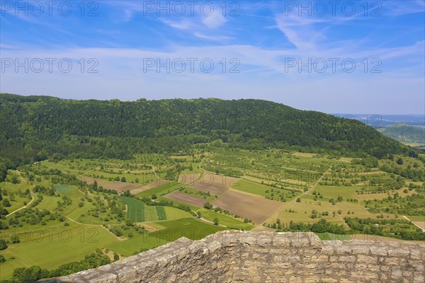 Ruin Reussenstein, ruin of a rock castle above Neidlingen, rock above the Neidlingen valley,