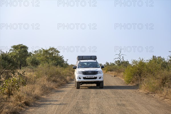 Toyota Hilux off-road vehicle with roof tent on a dirt road, African savannah, Kruger National