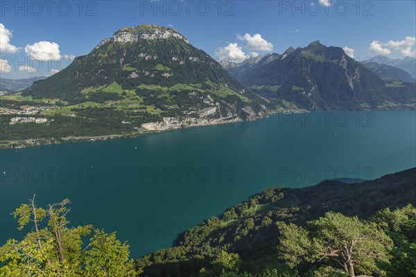 View from Seelisberg over Lake Lucerne to Fronalpstock and Bristenstock, Canton Uri, Switzerland,