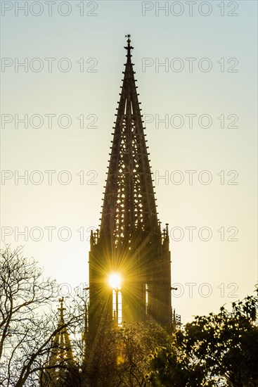 Tower of Freiburg Minster, sunset, Freiburg im Breisgau, Black Forest, Baden-Wuerttemberg, Germany,