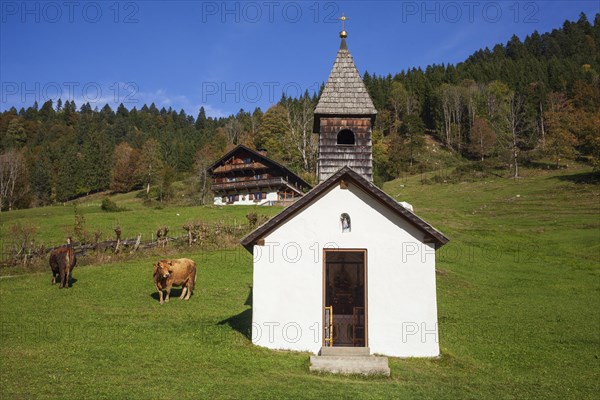 Graseck Alm with huts, chapel and hiking trail, Garmisch-Partenkirchen, Werdenfelser Land, Upper