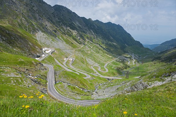A winding mountain road meanders through a green landscape on a cloudy summer day, Mountain Road,