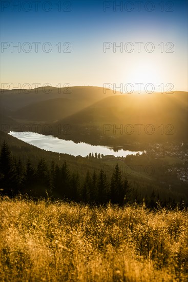 View from Hochfirst to Titisee and Feldberg, sunset, near Neustadt, Black Forest,