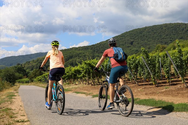 Symbolic image: Young couple on a bike tour in the vineyards, here in the Palatinate near Neustadt