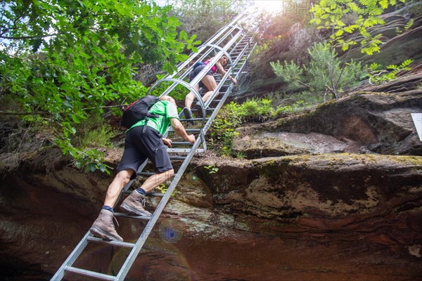 Hikers on the ladder to the Huehnerstein . The Huehnerstein is a sandstone rock in the Palatinate
