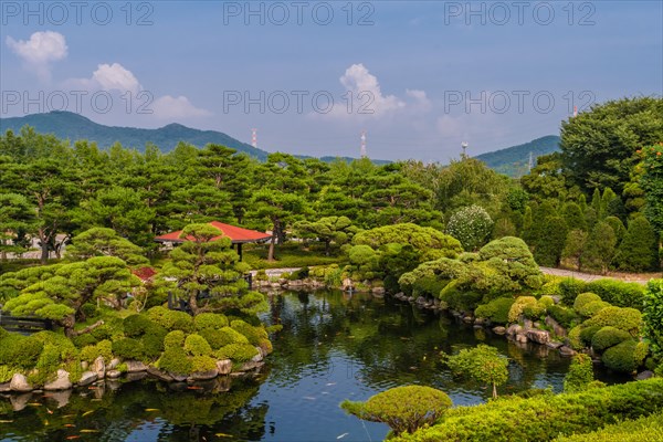 Koi swimming in pond at beautifully manicured park with electrical towers on mountain top in