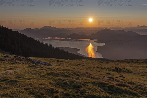 Sunrise over mountain lake and mountains, alpine meadow, horse, backlight, summer, view from