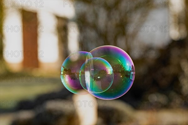 Soap bubbles three-coloured film of soapy water next to each other with mirror image in front of