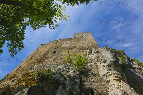 Ruin Reussenstein, ruin of a rock castle above Neidlingen, rock above the Neidlingen valley,