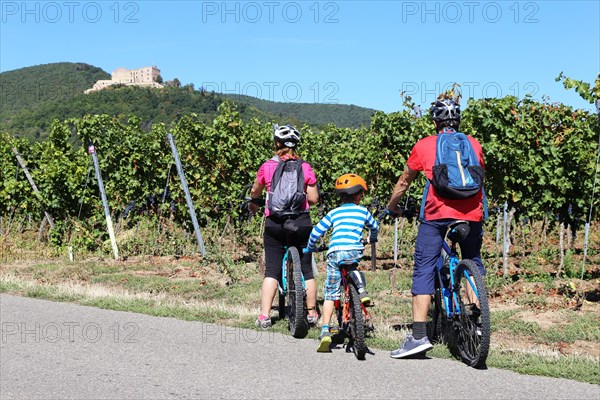 Cycling trip with the family through the vineyards of the Palatinate between Neustadt an der