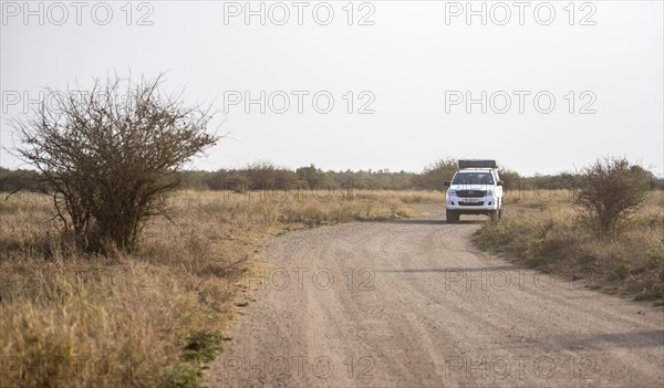 Toyota Hilux off-road vehicle with roof tent on a dirt road, African savannah, Kruger National