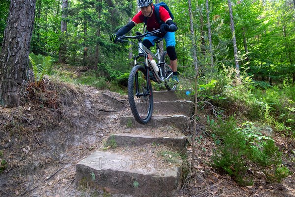 Mountain biker riding steps on a single trail near Weinbiet in the Palatinate Forest, Germany,