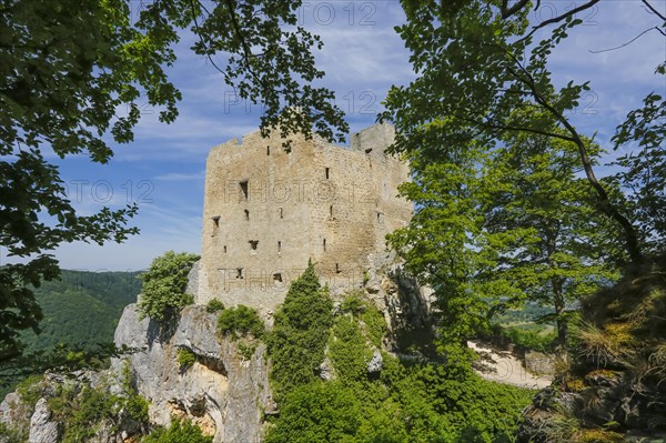 Ruin Reussenstein, ruin of a rock castle above Neidlingen, rock above the Neidlingen valley,