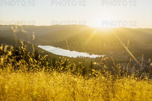 View from Hochfirst to Titisee and Feldberg, sunset, near Neustadt, Black Forest,
