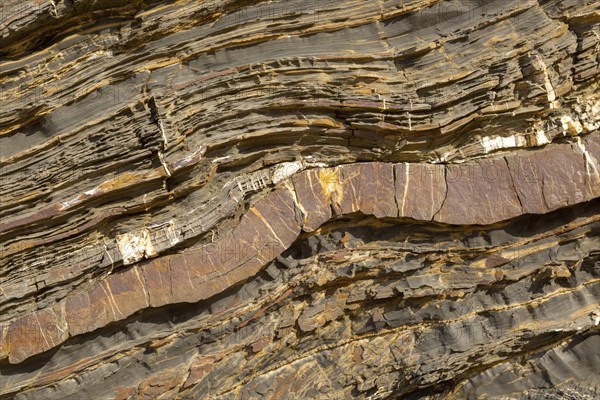 White veins of quartzite forming dykes crossing layers of metamorphosed sedimentary rock in the