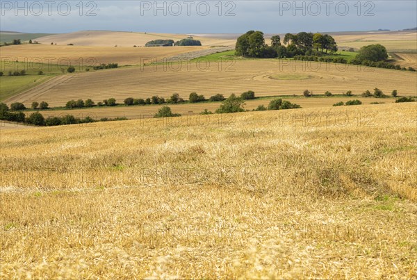 Chalk downland landscape fields of stubble looking west over East Kennett long barrow, Wiltshire,
