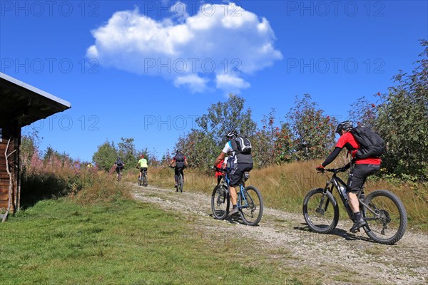 Mountain bike tour through the Bavarian Forest with the DAV Summit Club: Mountain bikers on the