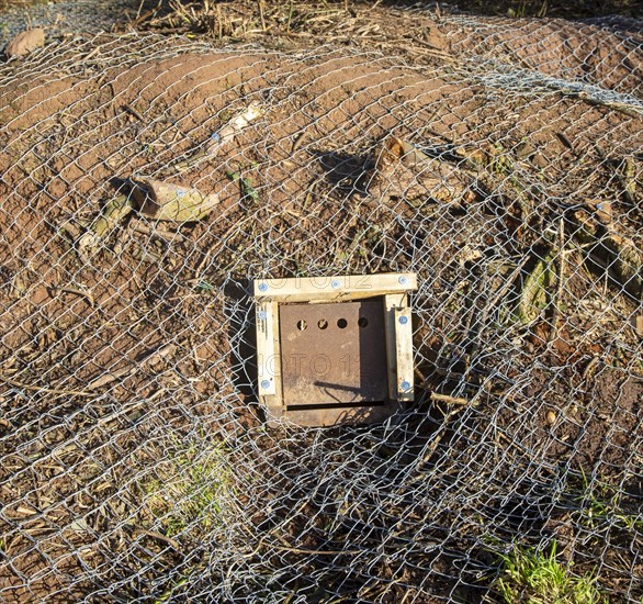 Eviction of badgers clearance of badger sett using metal fencing and one way exit gates, part of