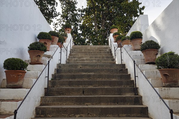 Staircase decorated with flower pots, Palacio de Generalife, Moorish architecture, Alhambra,
