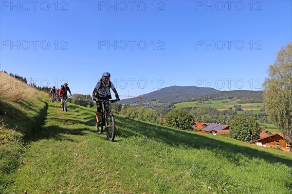 Mountain bike tour through the Bavarian Forest with the DAV Summit Club: Descent in a meadow paths
