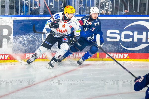 Game scene Adler Mannheim against Fischtown Pinguins Bremerhaven (PENNY DEL, German Ice Hockey