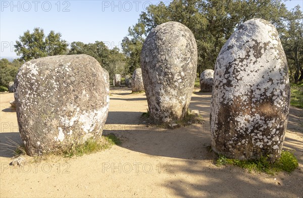 Neolothic stone circle of granite boulders, Cromeleque dos Almendres, Evora district, Alentejo,