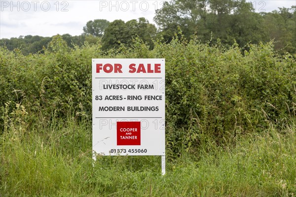 Estate agent Cooper and Tanner property for sale sign at livestock farm Compton Bassett, Wiltshire,