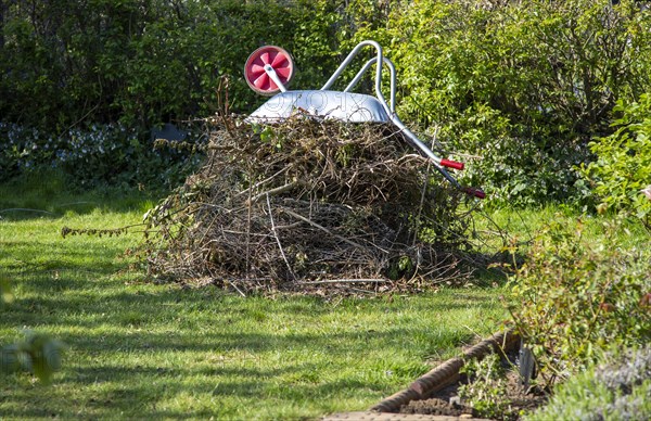 Pile garden waste held down by metal wheelbarrow, collections suspended due to Coronavirus Covid