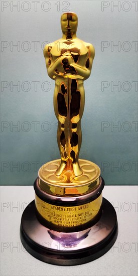 Oscar for Bernhard Grizmek for the documentary film Serengeti must not die, Haus der Geschichte,