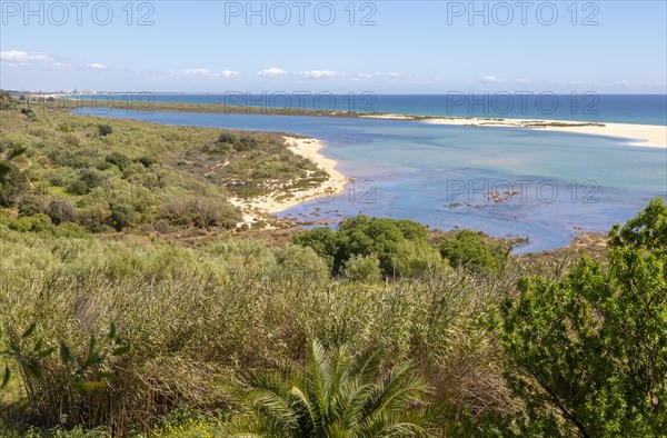 Coastal wooded landscape of pristine beaches and lagoon behind offshore sandbar, Cacela Velha, Vila