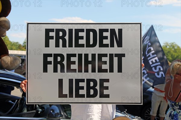 Demonstration in Landau, Palatinate: The demonstration was directed against the government's