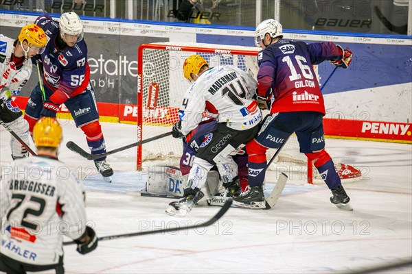 Game scene Adler Mannheim against Fischtown Pinguins Bremerhaven (PENNY DEL, German Ice Hockey