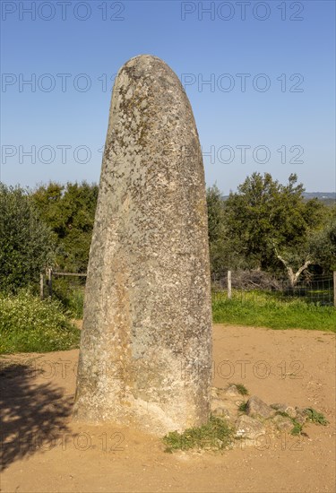 Neolithic standing stone 4 metres high called the Menir dos Almendres, near Evora, Alentejo,