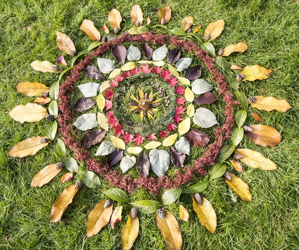 Pattern rings autumn leaves on grass, National arboretum, Westonbirt arboretum, Gloucestershire,