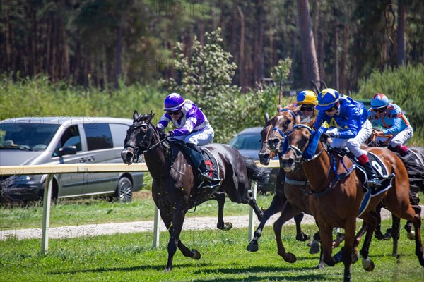 Race day at the racecourse in Hassloch, Palatinate. Prize of St. Hippolyt/Muehle Ebert & Gestuet