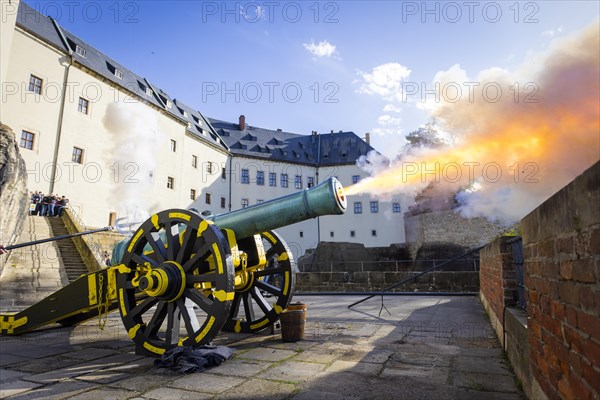 Koenigstein Fortress in Saxon Switzerland. A cannon belonging to the Koenigstein Fortress, built in