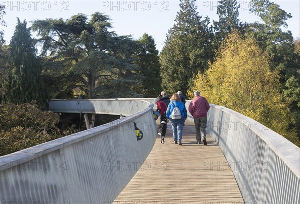 Treetop walkway to Silk Wood, National arboretum, Westonbirt arboretum, Gloucestershire, England,