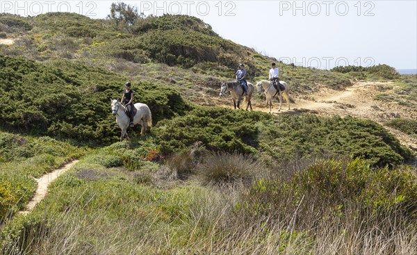 Three people pony trekking on coastal path, the Fisherman's Trail of Ruta Vicentina, Odeceixe,