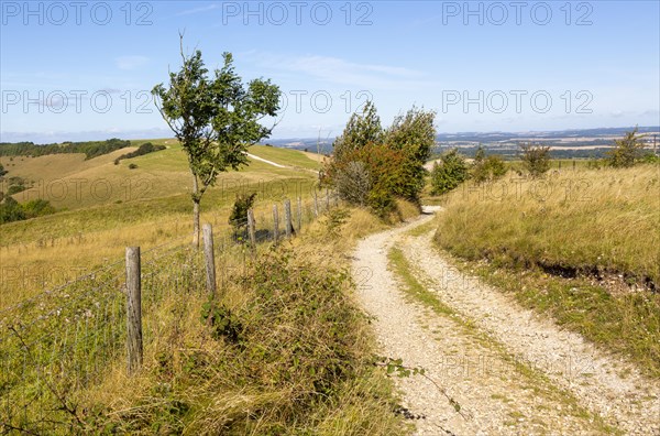 Track along top of chalk scarp escarpment slope of Inkpen Hill, at Walbury Camp, Berkshire,