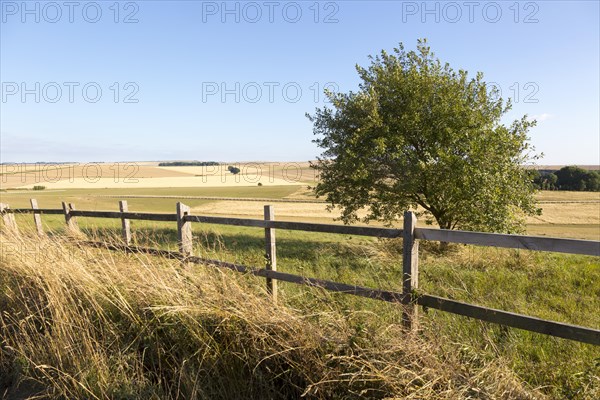 Rolling hills and fields chalk landscape near Beckhampton, Wiltshire, England, UKWiltshire,