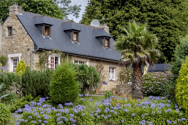 Typical Breton stone house, Brittany, Ile de Brehat, Departement Cotes-d'Armor, Brittany, France,