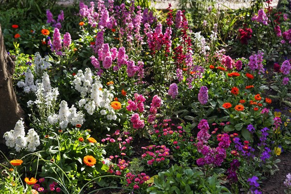 Splendour of flowers in spring, gardens, arabic, islamic, oriental, light and shade, Generalife