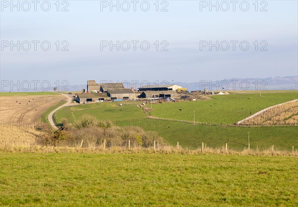 Hilltop farm buildings in chalk landscape, Casterley Barn, Salisbury Plain, Wiltshire, England, UK