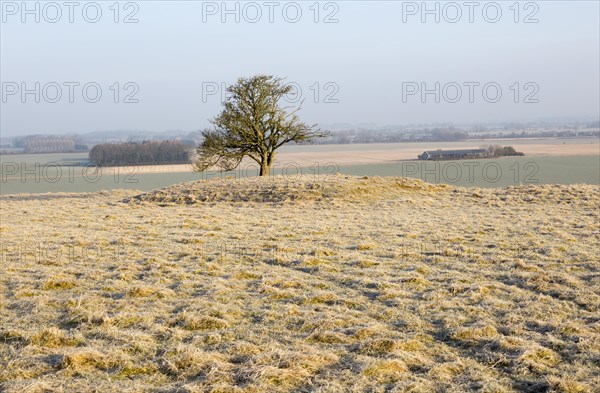 Bronze Age bowl barrow on Windmill Hill, a Neolithic causewayed enclosure, near Avebury, Wiltshire,